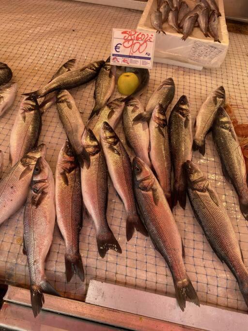 Casa Del Pescatore Di Ortigia シラクーサ エクステリア 写真